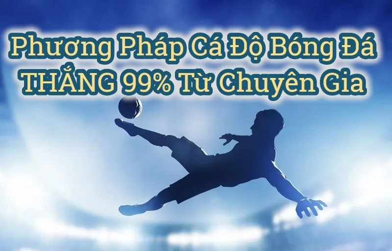 phương pháp cá độ bóng đá